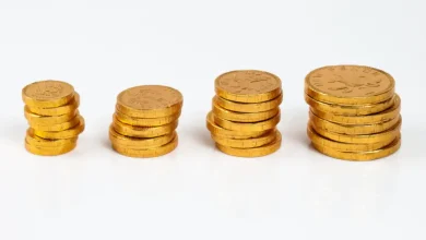 $63,000 Theft: Idaho's Response to Credit Union Fraud Challenges