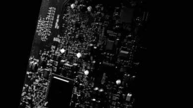 AI in Small Business: The Catalyst for Rapid Expansion?