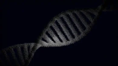 California Barred from Damages in 23andMe 2023 Data Breach Case