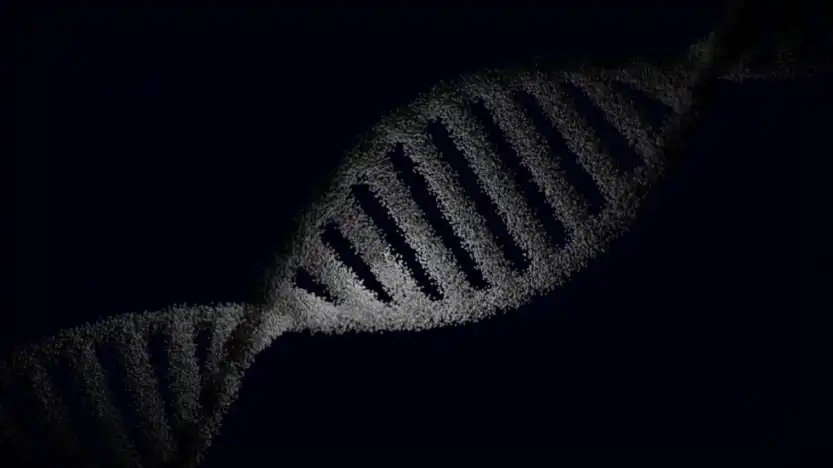 California Barred from Damages in 23andMe 2023 Data Breach Case