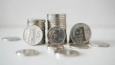 Earned Wage Access: Consumer Groups Mobilize Against Federal Override?