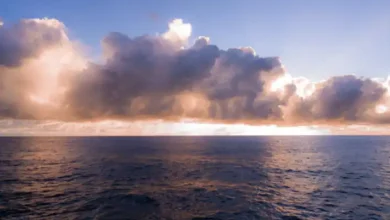 El Niño Event Expected to be Strongest in 75 Years