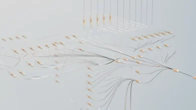 Navigating the Frontier of AI Model Innovation: An Investor's View