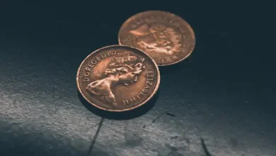 PayPal Joins European Payments Council: What It Means for Europe's Financial Future