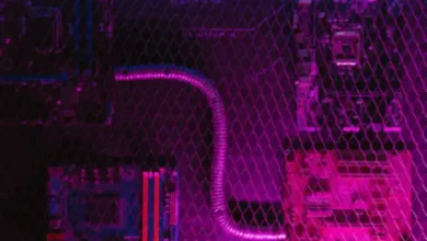 Shifting Sands: How Restrictions Fuel Open-Source AI Models