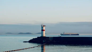 Strait of Hormuz Attack: Seafarers Sue Shipping Company