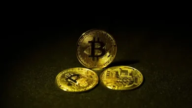 Tokenized Money Market Funds Take Center Stage