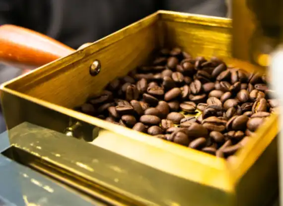 Will Brazil Beans Tariff Exemption Persist for US Coffee?