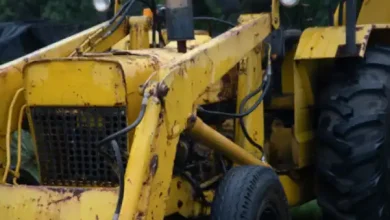 Agricultural Stocks to Buy for Long-Term Growth