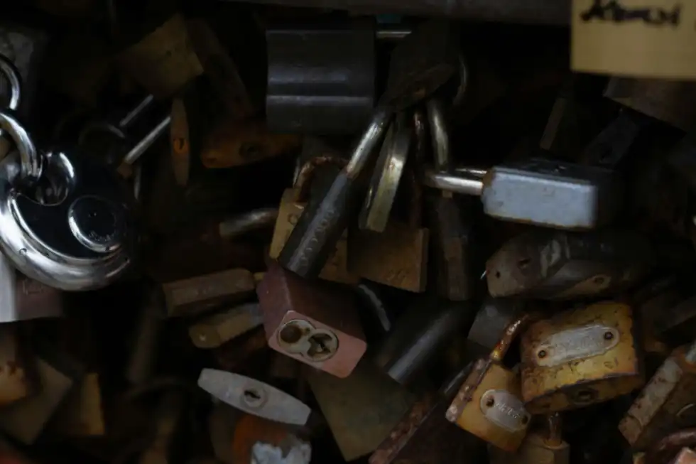 Fake IDs Fuel $74K Financial Fraud Scheme: A Warning?