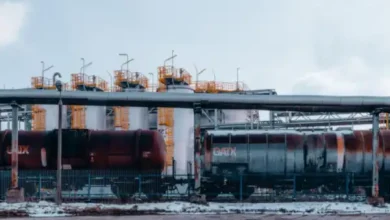 Global Energy Security at Risk