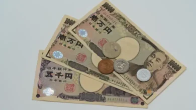 Japan's Economic Blueprint