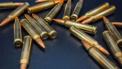 New Jersey's Assault Weapons Ban Overturned: Economic Aftershocks?