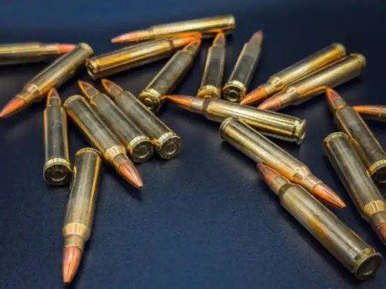 New Jersey's Assault Weapons Ban Overturned: Economic Aftershocks?