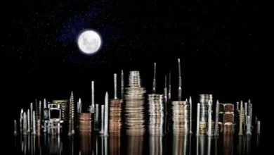 OECD's Global Minimum Tax: Driving Revenue, Not Layoffs?
