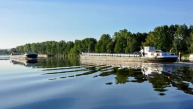 Why Persistent Low Rhine Water Levels Threaten European Logistics